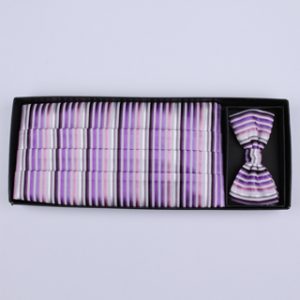 Purple/multi Striped Cummerbund / Bow Tie Set-0