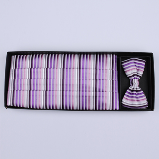 Purple/Multi Striped Cummerbund / Bow Tie Set
