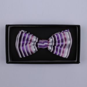 Purple/Multi Stripes Bow Tie-0