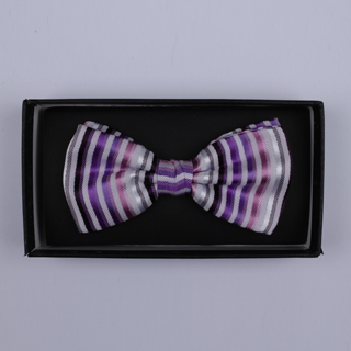 Purple/Multi Stripes Bow Tie-0