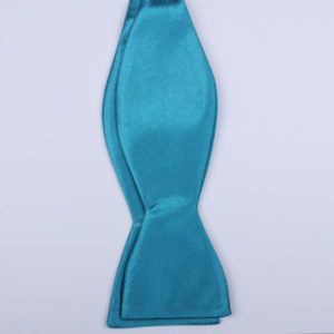 Sky Blue Self-Tie Bow Ties-0