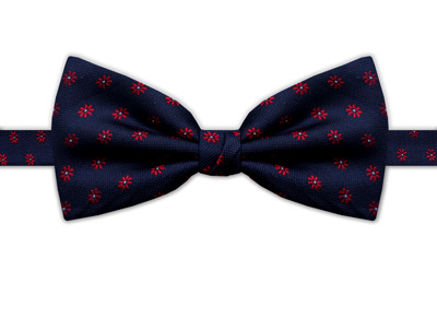 NAVY & RED FLOWER BOW TIE-0
